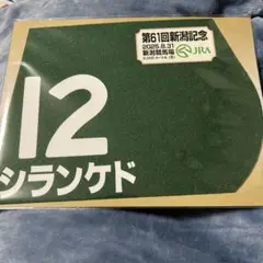 イクイノックス　2022日本ダービーミニゼッケン イクイノックス2022日本ダービーミニゼッケン