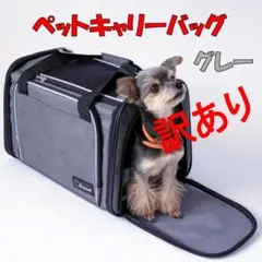 美品 Teafco Argo ペット犬猫キャリーケース バッグ9kgまで - メルカリ
