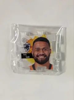 Item thumbnail for item 72fa8a9c-39fb-409e-90c4-8563ad391cfe