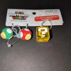 usj スーパーマリオ　チャームセット　めじるしアクセサリー