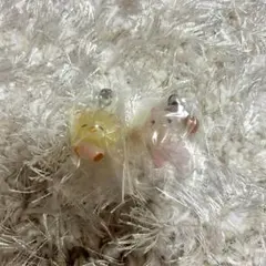 mikko めじるしアクセサリー スフレ パフ