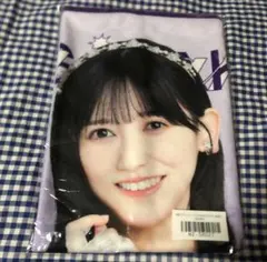 乃木坂46 池田瑛紗 lucky bag まとめ売り アクスタ キーホルダー他 乃木坂46 池田瑛紗 lucky bag まとめ売り アクスタ キーホルダー他