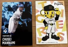 プロ野球チップス2025 二枚　トラッキー　阪神　万波中正　日ハム スターカード