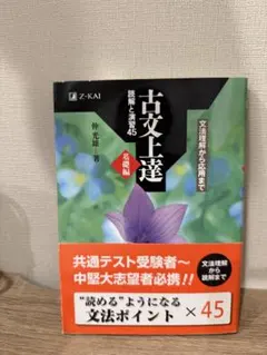 Item thumbnail for item 8c9af015-6733-439d-9d8c-ded24d3ccf19