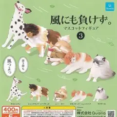 風にも負けず。エキゾチック・ショート