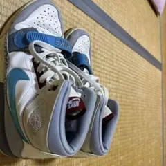 Nike Air Jordan ホワイト ターコイズ