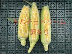 ドルチェドリーム　訳あり 約1kgのサムネイル