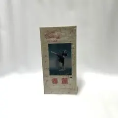 1／6 春麗 フィギュア ガレージキット チュンリー ストリートファイターⅡ
