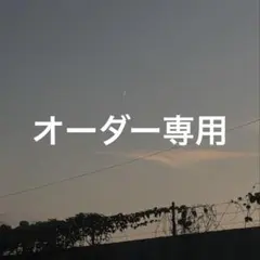 オーダー専用❣️