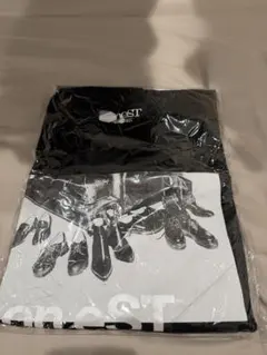 Item thumbnail for item 231e09ac-c065-425a-859d-8a11a2f5ce42