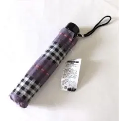 Item thumbnail for item 1b77d78d-44de-491d-a003-5e731cef7960