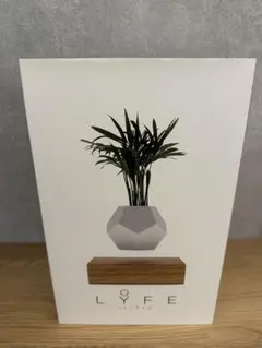 LYFE フライト ライフ