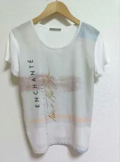 ZARA プリント　シアー T シャツ