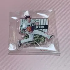 大竹耕太郎 記念グッズ