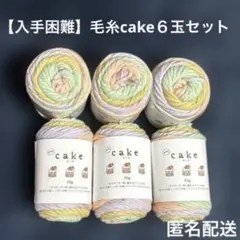 【人気色♪】毛糸ブランドcake6玉セット