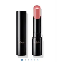 ヴィセ　ネンマクフェイクルージュII PK850