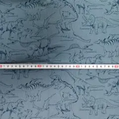 恐竜プリント 綿生地 Tip-topコレクション