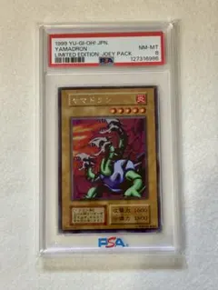 【PSA8】ヤマドラン（初期）