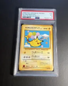 そらをとぶピカチュウ_ANA 「ジェットでゲットだ！Wチャンス