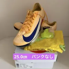 2026年最新】マックスフライ 25.0の人気アイテム - メルカリ