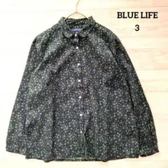 Item thumbnail for item 11ae94f1-96f3-4c5e-bcee-98c6e68a5f03