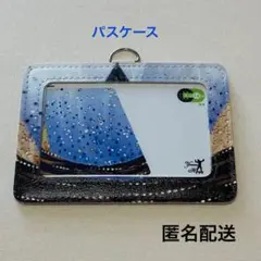 羽生結弦 HanyuYuzuru ハンドメイド パスケース 衣装 バラード1番