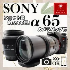 2025年最新】α65 レンズの人気アイテム - メルカリ