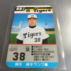 タカラプロ野球カード56年度阪神タイガース 昭和56年度版 旧タカラ プロ野球ゲーム 阪神タイガース カードゲームを
