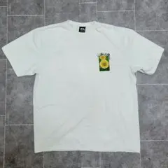 ★美品 STUSSY春夏 超希少 Tシャツ 真夏