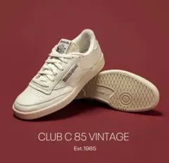 Item thumbnail for item 404f50e3-0160-4382-a1fc-a5baeafb1949