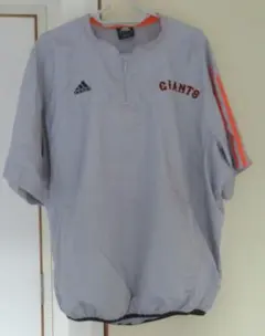 Item thumbnail for item bf0dc9c9-5d9f-4d25-b372-cd8e2c6e45e6