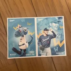 中日ドラゴンズ 竜ブロマイド 金丸夢斗&シャオロン