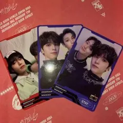 straykids スキズ oddinary スンミン ユニット トレカ