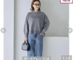 田中里奈 ニット