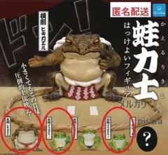 蛙力士 はっけよいフィギュア　3種セット　ガチャ