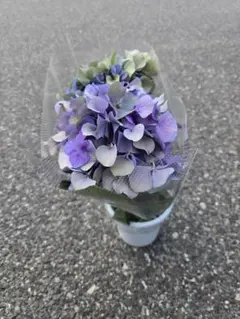 2026年最新】鬼木 紫陽花の人気アイテム - メルカリ