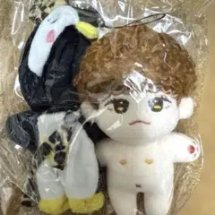 2PM ジュノ　ジュノドール　20㎝ 3体　洋服付き 2PM ジュノ ジュノドール 20㎝ 3体 洋服付き 2PM JUNHO ジュノ