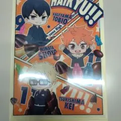 ハイキュークリアファイルセット