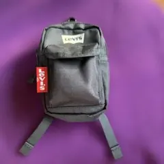 リーバイス　ミニポシェット