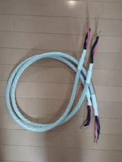 Item thumbnail for item 034501c6-3221-4e79-9cc3-400fb580bed4