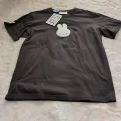 Item thumbnail for item 699767a7-034d-4811-a9c3-5e46a636e8d4