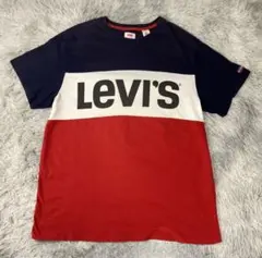 リーバイス トルコ製　ヴィンテージ Tシャツ マルチカラー タグ
