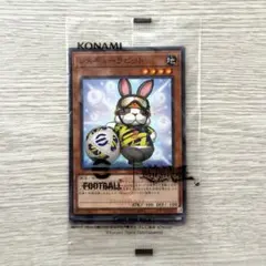 レスキューラビット　ネイマール　未開封30セット 2026年最新】レスキューラビットの人気アイテム - メルカリ