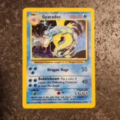 ポケモンカードゲーム 初期ギャラドス 英語版 Pokemon（ポケモン） Z54【ポケモン カード】 旧裏面 ギャラドス 英語