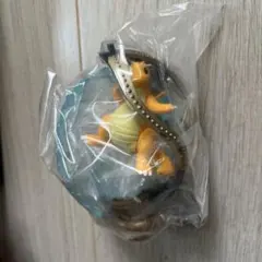 H*y様 ポケモン OVALTIQUE COLLECTION カイリュー