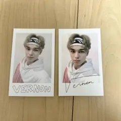 caratland ポラロイド バーノン