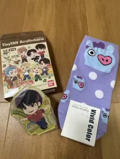 BTS TinyTANアクリルチャーム　靴下　j-hope