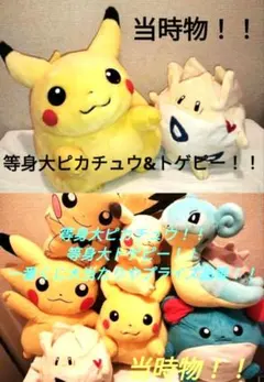 ポケットモンスター アニメコレクション 90 トゲピー キラ 7700 ポケットモンスター アニメコレクション 90 トゲピー キラ 7700 | Mercari