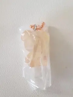 Stray Kids パピーム SKZOOグミ＆チャーム