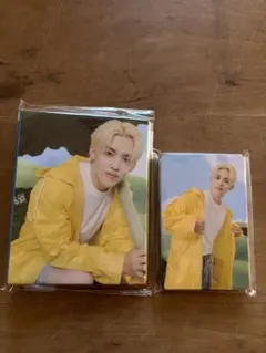 SEVENTEEN エスクプス　トレカ24枚　バインダー